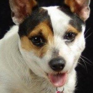 Meet your Posher, Terry